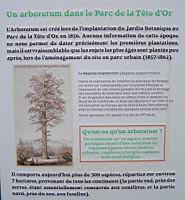 16a - L'arboretum du Jardin Botanique (1).jpg